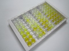 ELISA Kit for TATA Box Binding Protein Associated Factor 13 (TAF13)