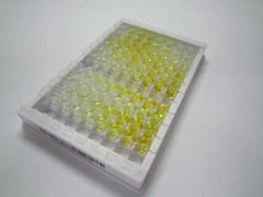 ELISA Kit for Glycoprotein 2, Zymogen Granule Membrane (GP2)