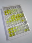 ELISA Kit for FK506 Binding Protein 4 (FKBP4)