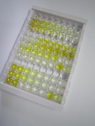 ELISA Kit for Minichromosome Maintenance Deficient 3 (MCM3)