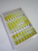 ELISA Kit for Regenerating Islet Derived Protein 3 Alpha (REG3a)