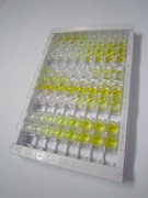 ELISA Kit for Regenerating Islet Derived Protein 3 Alpha (REG3a)