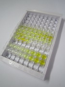 ELISA Kit for Regenerating Islet Derived Protein 3 Gamma (REG3g)