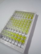 ELISA Kit for Interferon Gamma Inducible Protein 30 (IFI30)