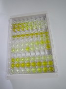 ELISA Kit for Interleukin 22 Receptor Alpha 2 (IL22Ra2)