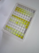 ELISA Kit for Interleukin 1 Zeta (IL1z)