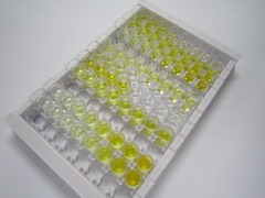 ELISA Kit for Histone Deacetylase 4 (HDAC4)