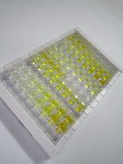 ELISA Kit for Histone Deacetylase 6 (HDAC6)