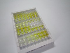 ELISA Kit for Sirtuin 1 (SIRT1)