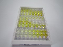 ELISA Kit for Sirtuin 1 (SIRT1)