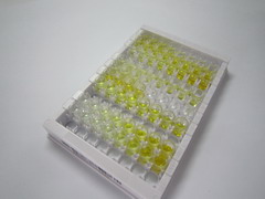 ELISA Kit for Sirtuin 3 (SIRT3)