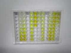 ELISA Kit for Eukaryotic Translation Elongation Factor 1 Alpha 1 (EEF1a1)