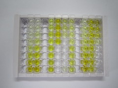 ELISA Kit for Ribosomal Protein S9 (RPS9)