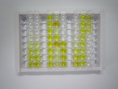 ELISA Kit for Cellular Retinoic Acid Binding Protein 2 (CRABP2)