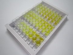 ELISA Kit for Carnitine Palmitoyltransferase 1A, Liver (CPT1A)