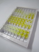 ELISA Kit for Flotillin 1 (FLOT1)