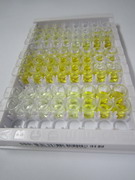 ELISA Kit for Hyaluronan Synthase 2 (HAS2)