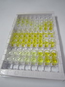 ELISA Kit for Homeodomain Interacting Protein Kinase 2 (HIPK2)