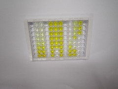 ELISA Kit for Janus Kinase 2 (JAK2)