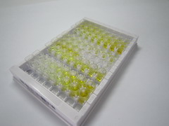 ELISA Kit for Kinesin Family, Member 1A (KIF1A)