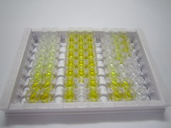 ELISA Kit for Lamin A/C (LMNA)