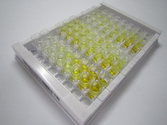 ELISA Kit for Lysyl Oxidase Like Protein 2 (LOXL2)