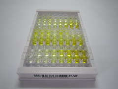 ELISA Kit for Lysyl Oxidase Like Protein 3 (LOXL3)