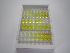 ELISA Kit for Lysyl Oxidase Like Protein 4 (LOXL4)