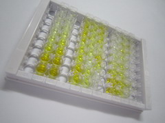 ELISA Kit for Microfibrillar Associated Protein 4 (MFAP4)