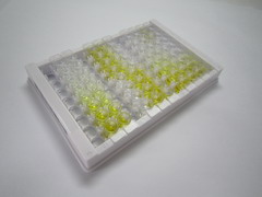 ELISA Kit for Microfibrillar Associated Protein 5 (MFAP5)