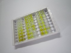 ELISA Kit for Chordin Like Protein 1 (CHRDL1)