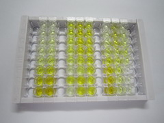 ELISA Kit for Transient Receptor Potential Cation Channel Subfamily V, Member 1 (TRPV1)