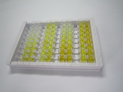 ELISA Kit for Secretogranin III (SCG3)