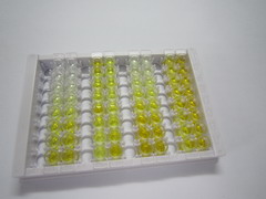 ELISA Kit for Septin 8 (SEPT8)