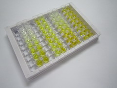 ELISA Kit for Sestrin 3 (SESN3)