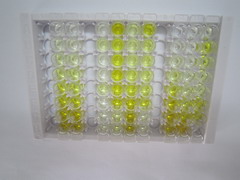 ELISA Kit for Sestrin 3 (SESN3)