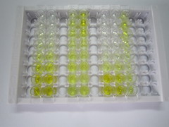 ELISA Kit for Sestrin 1 (SESN1)