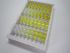 ELISA Kit for Secreted Frizzled Related Protein 4 (SFRP4)