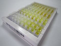 ELISA Kit for Secreted Frizzled Related Protein 2 (SFRP2)