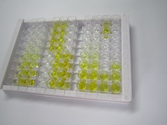 ELISA Kit for Histamine Receptor H1 (HRH1)