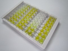 ELISA Kit for Amyloid Beta Precursor Like Protein 1 (APLP1)