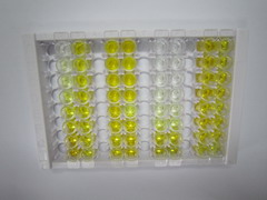 ELISA Kit for Amyloid Beta Precursor Like Protein 2 (APLP2)