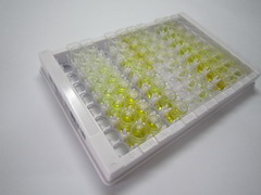 ELISA Kit for Proteasome Subunit Alpha Type 5 (PSMa5)