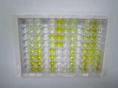 ELISA Kit for Proteasome Subunit Beta Type 6 (PSMb6)