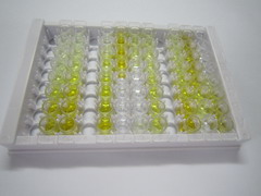 ELISA Kit for Proteasome Activator Subunit 3 (PSME3)