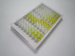 ELISA Kit for Cysteine Rich Protein, Angiogenic Inducer 61 (CYR61)