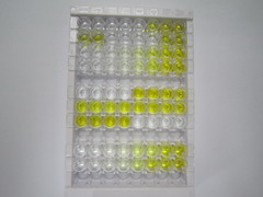 ELISA Kit for Corin (CRN)