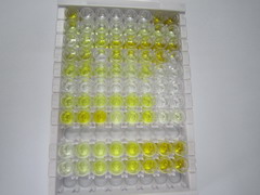 ELISA Kit for Corin (CRN)