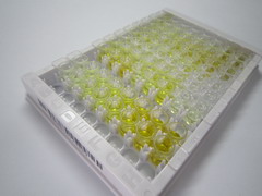 ELISA Kit for Tryptophan Hydroxylase 1 (TPH1)