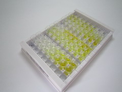 ELISA Kit for 3-Hydroxybutyrate Dehydrogenase 1 (BDH1)